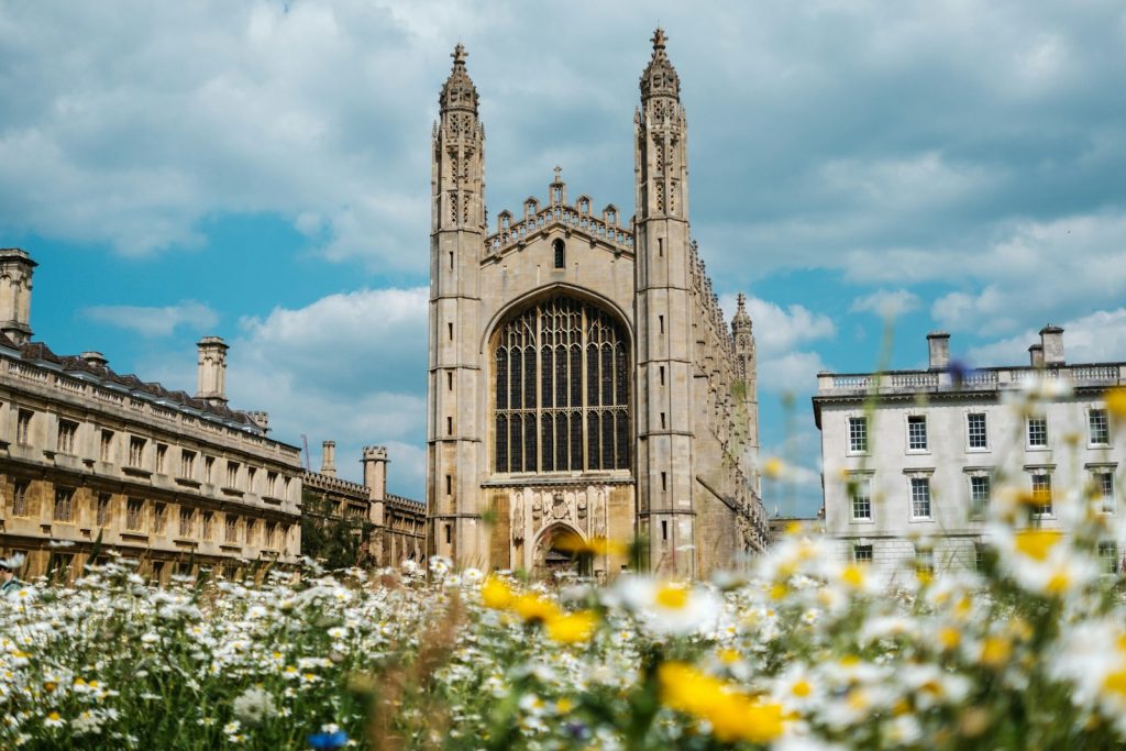 Fleurs blanches et jaunes devant la Cathédrale de Cambridge de jour
